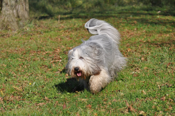 DSC_3794.JPG