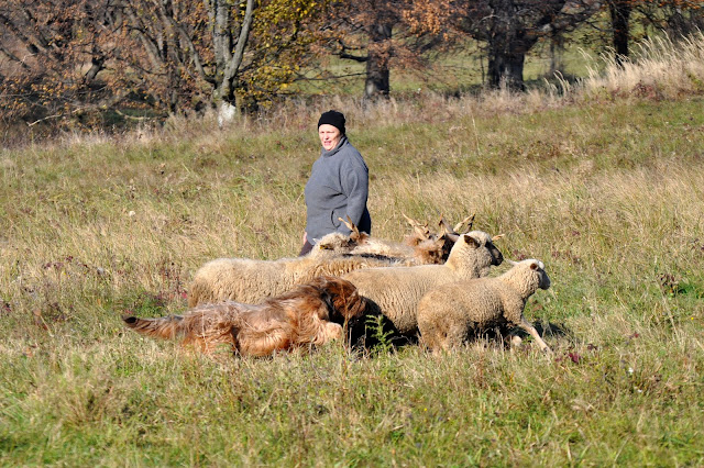 DSC_3803.JPG