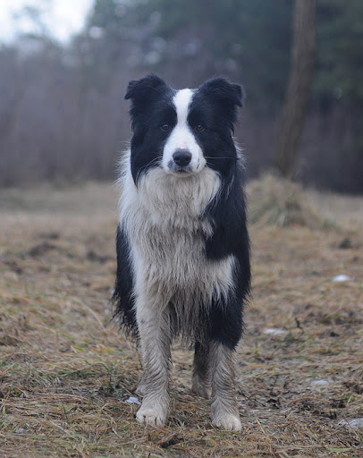 DSC_0845.JPG