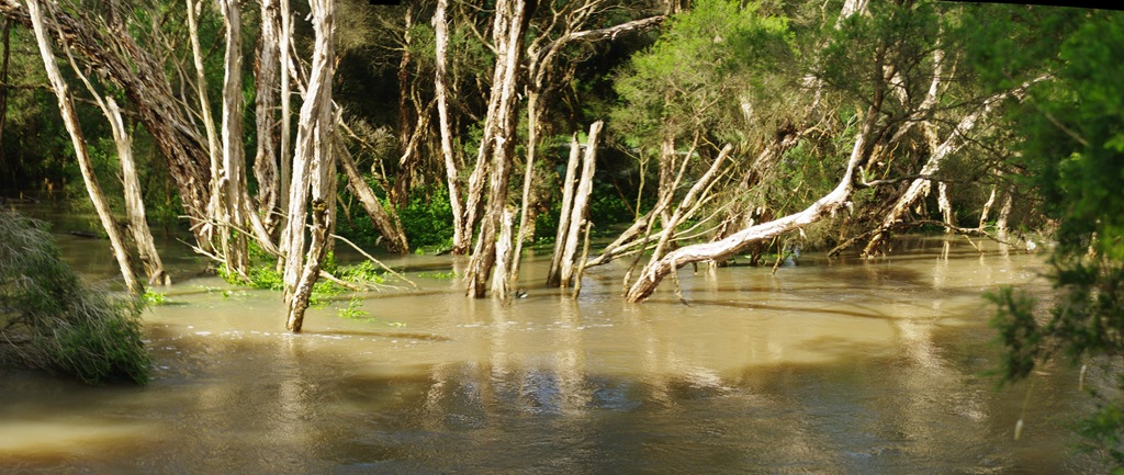 [jell park creek flood-1[4].jpg]