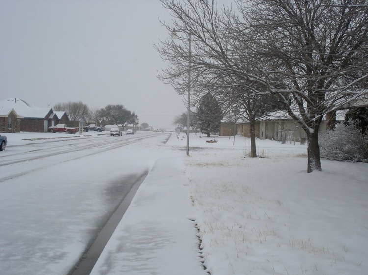 02-23-2010 Snow