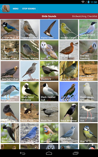 免費下載教育APP|Spanish Birds Sounds app開箱文|APP開箱王