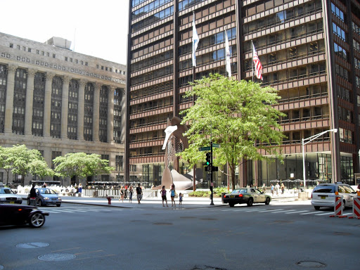 kidney dialysis for cats