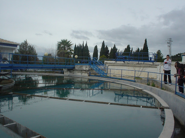 Potabilizadora