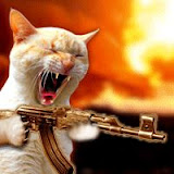 gato%20con%20metralleta.gif.jpg
