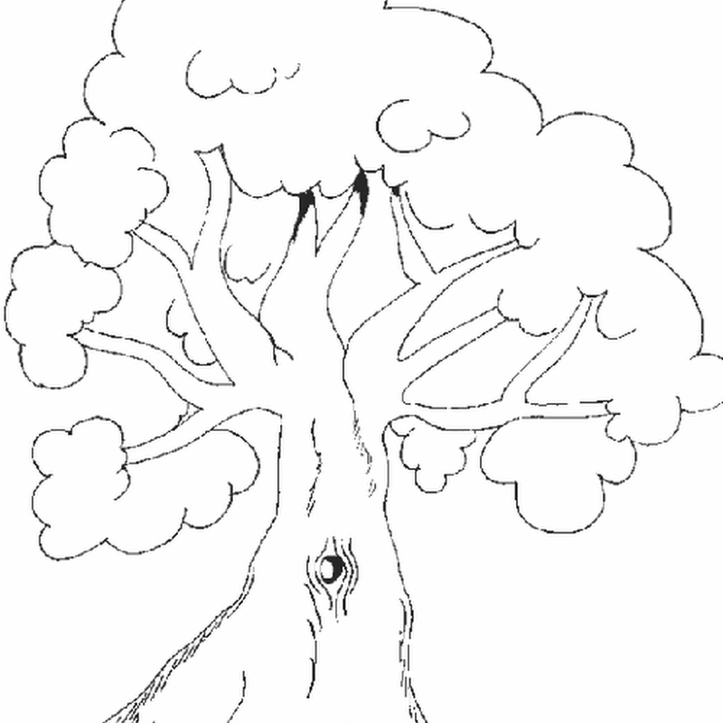 dibujos para colorear día del árbol
