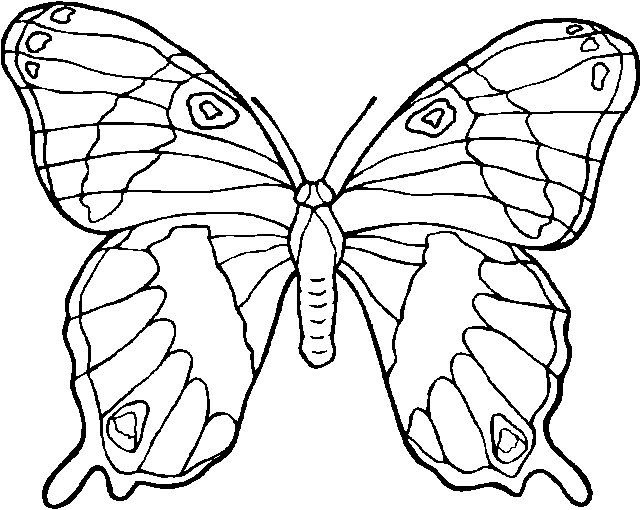 [jyc mariposas (23)[2].jpg]