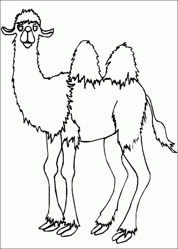 [camellos  (6)[2].gif]