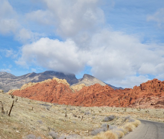 Red Rock Canyon (17)
