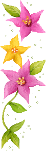 1181071cimzwdep76.png