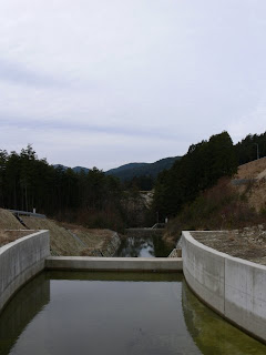 Looking downstream from the force-reducing structure