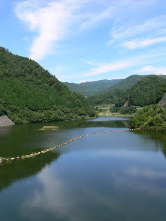 Vista del lago della diga dal sito della diga sulla riva destra.