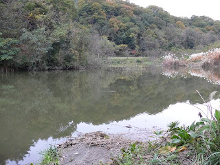 View of the dam lake from the left bank