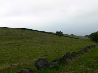 View of the levee from the east