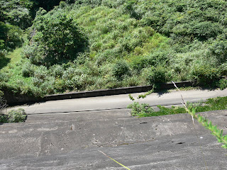 Vista del conducto desde la orilla izquierda.