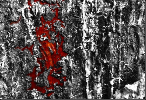 Bleeding Tree-color on bw_lite