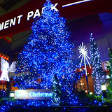 ChristmasTree-blue (2).jpg