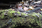DSC03722.JPG