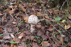DSC03781.JPG