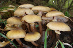 DSC03795.JPG