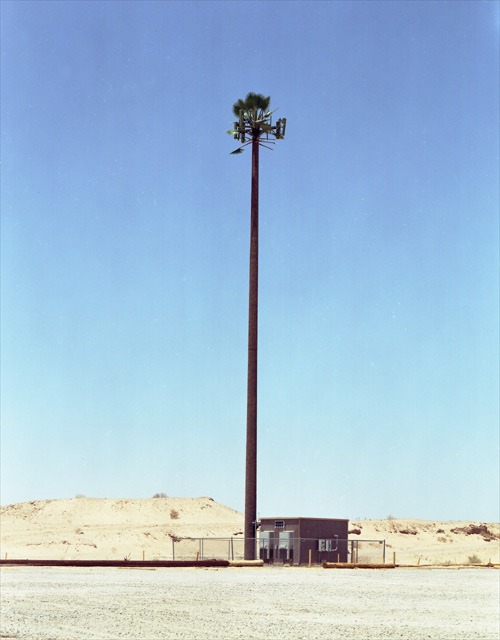 cell-phone-trees (13)