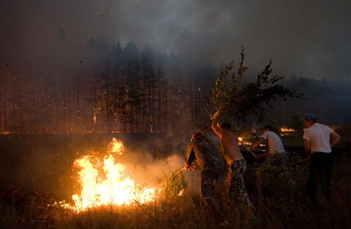 russia-forest-fire (6)