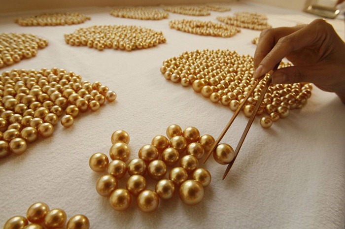 golden-pearl (30)