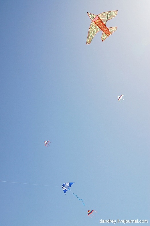 japanese-kite-festival (10)