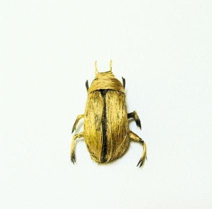 human-hair-insects14