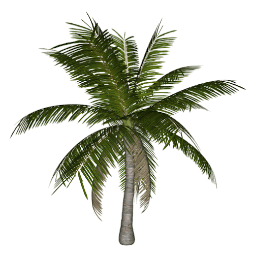 aisne-cu-tt-coconut.png