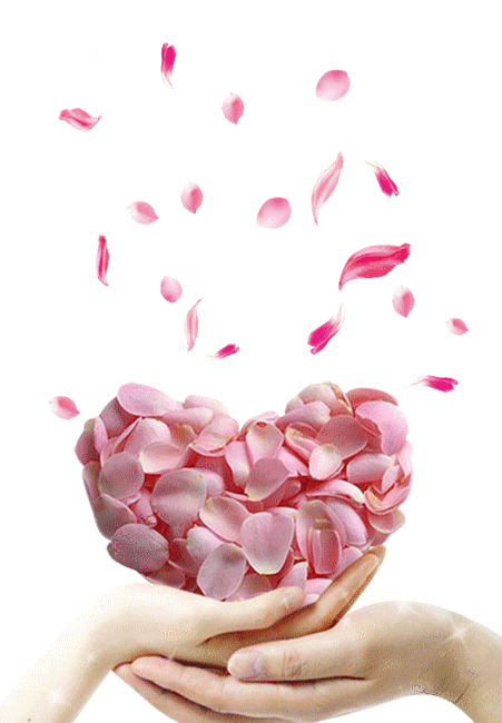 kTs_coeur_de_rose05.png
