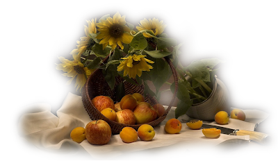 betti_48_august_2009.png