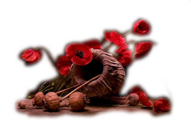 betti_44_august_2009.png