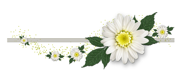 Flowerswirl.png