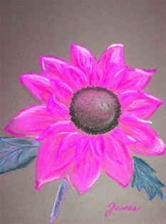 sunflowerPINK