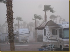 dust storm  (2)