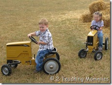 IMG_6270 IMG_6270