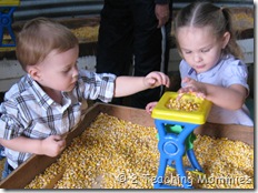 IMG_6264 IMG_6264