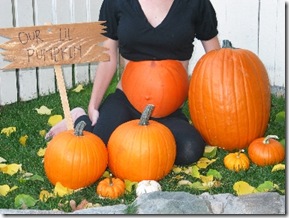 pumpkin pregnant