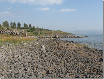 Sea of Galilee Shoreline 4