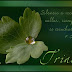 Hoja modelo.jpg
