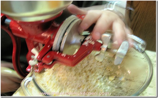 corn grinder for masa
