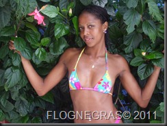 dilicia (20)