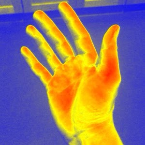 Thermal Vision logo