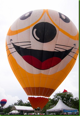 Hot Air Balloon Putrajaya 2011 (41)