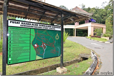 Semengoh Orangutan Rehabilitation Center 27
