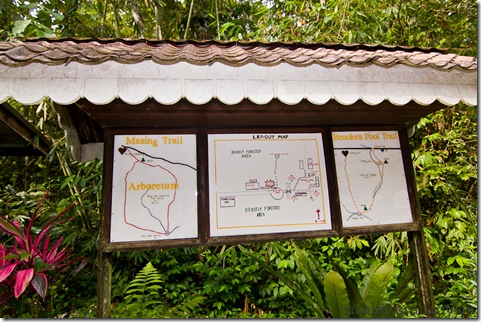 Semengoh Orangutan Rehabilitation Center 2