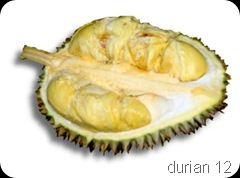 durian17