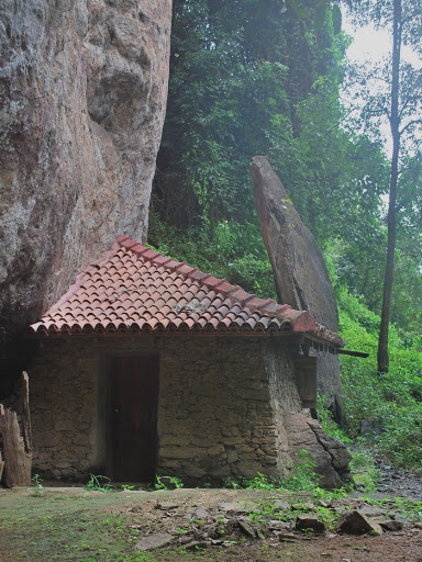 DSC_0303.JPG