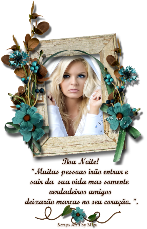 vidaboanoite.png
